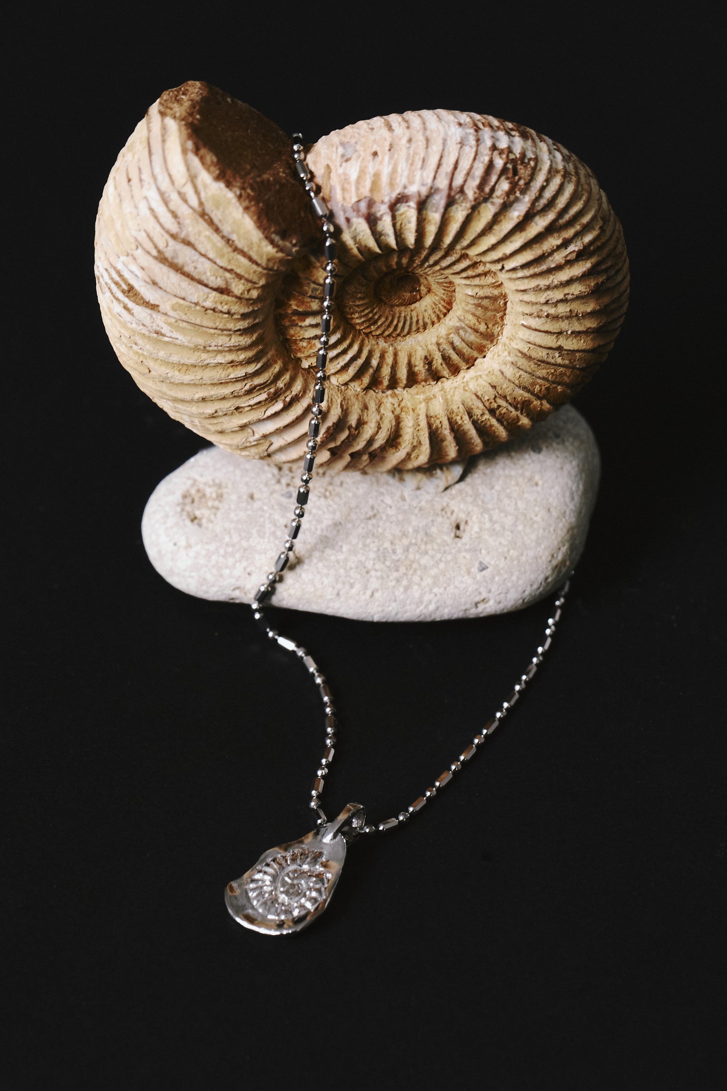 Ammonite mural necklace