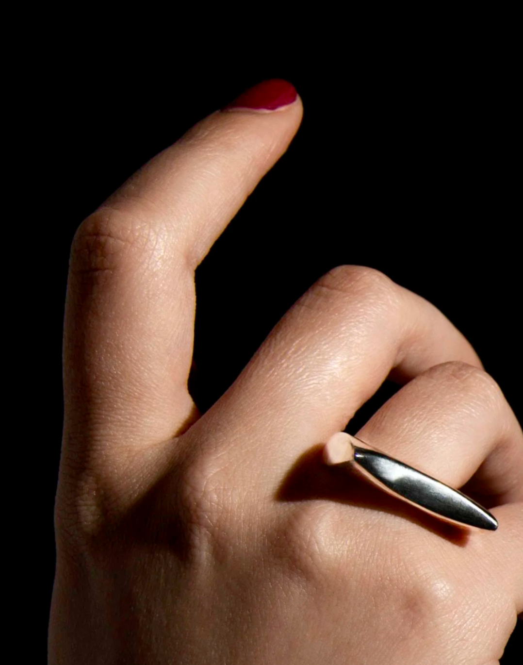 Blade ring