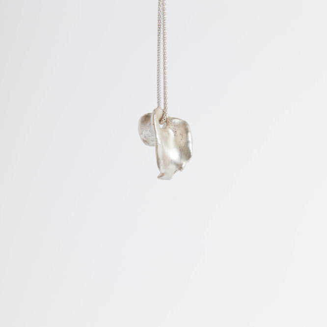Kiwa 020