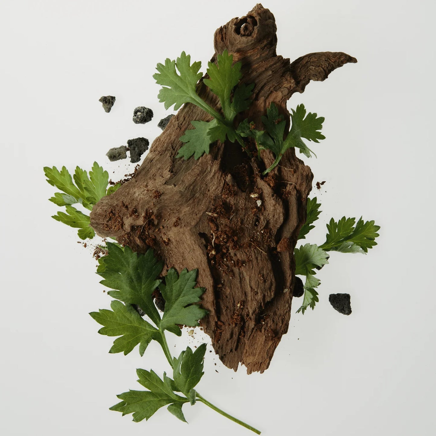 BEAUTY OF JOSEON Calming Serum : Green tea+Panthenol 30ml