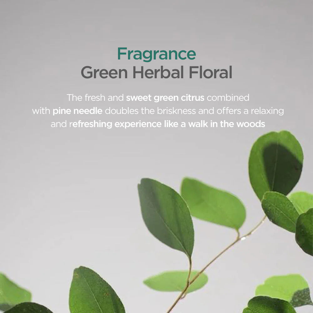 AYUNCHE Rebalancing Serum 80ml