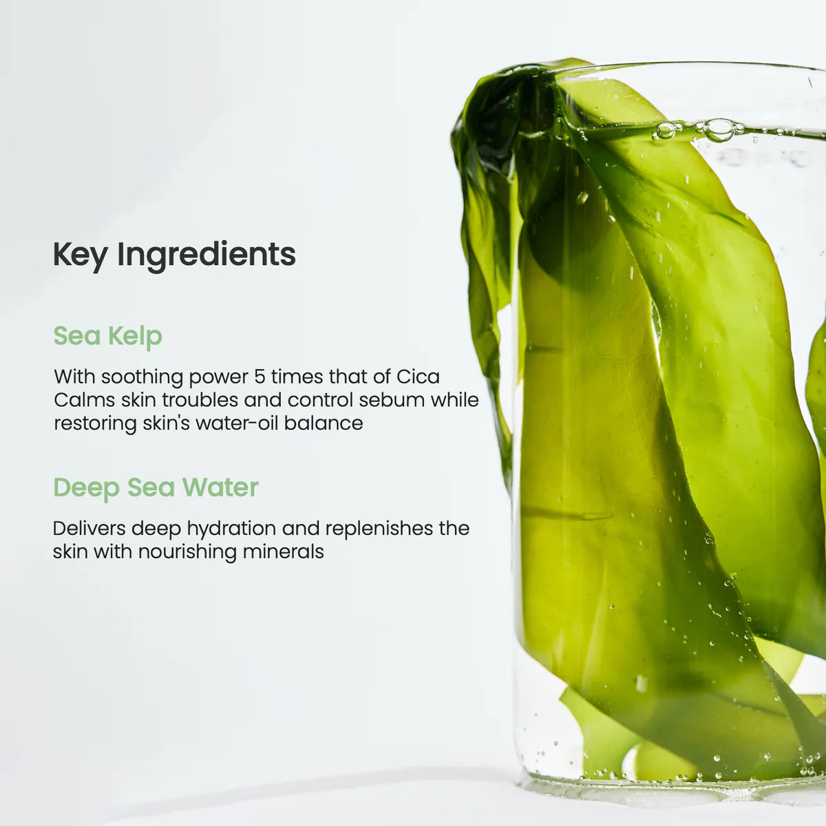 BIODANCE Refreshing Sea Kelp Real Deep Mask 1Box (4ea x 34g)