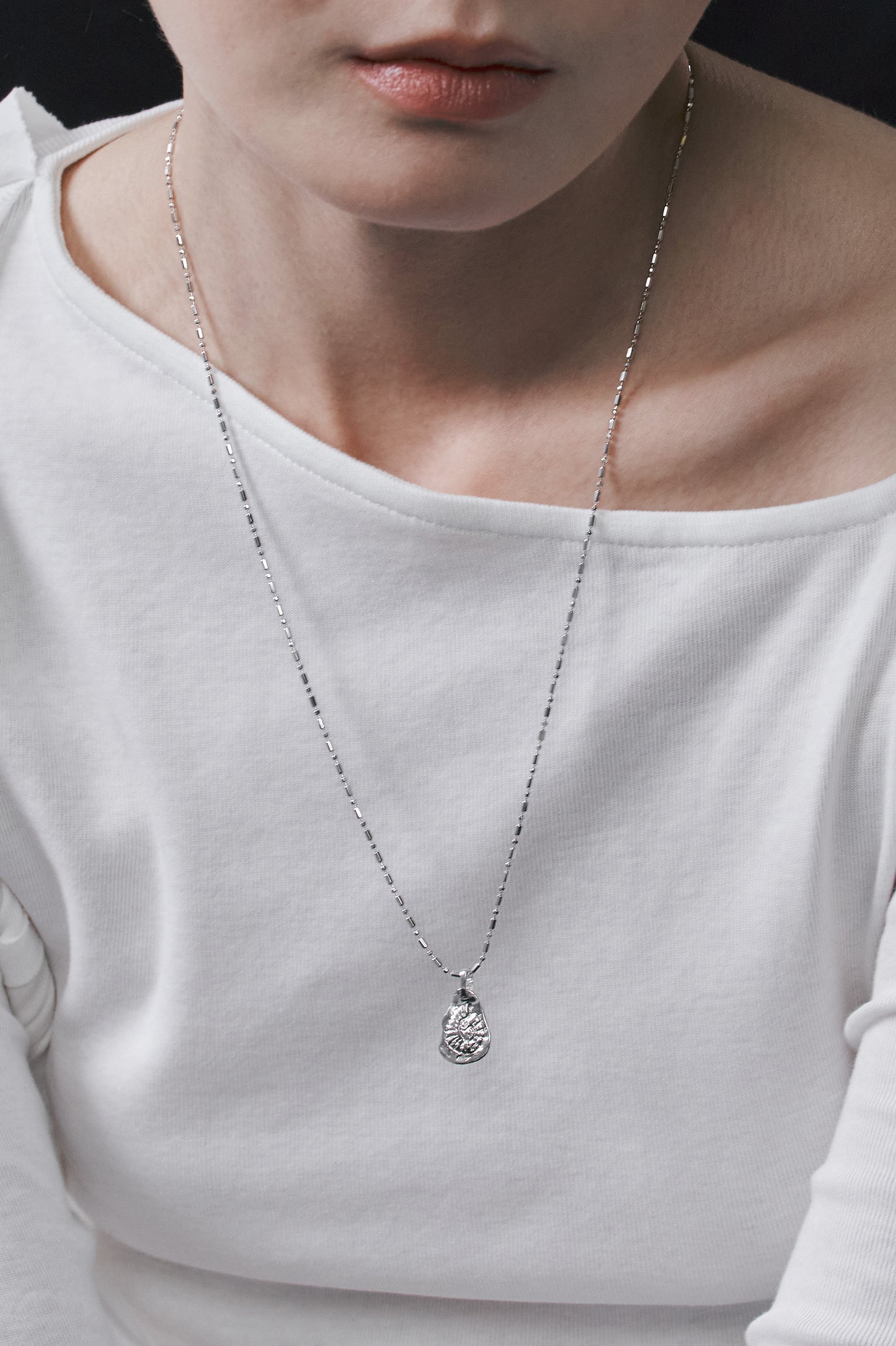 Ammonite mural necklace
