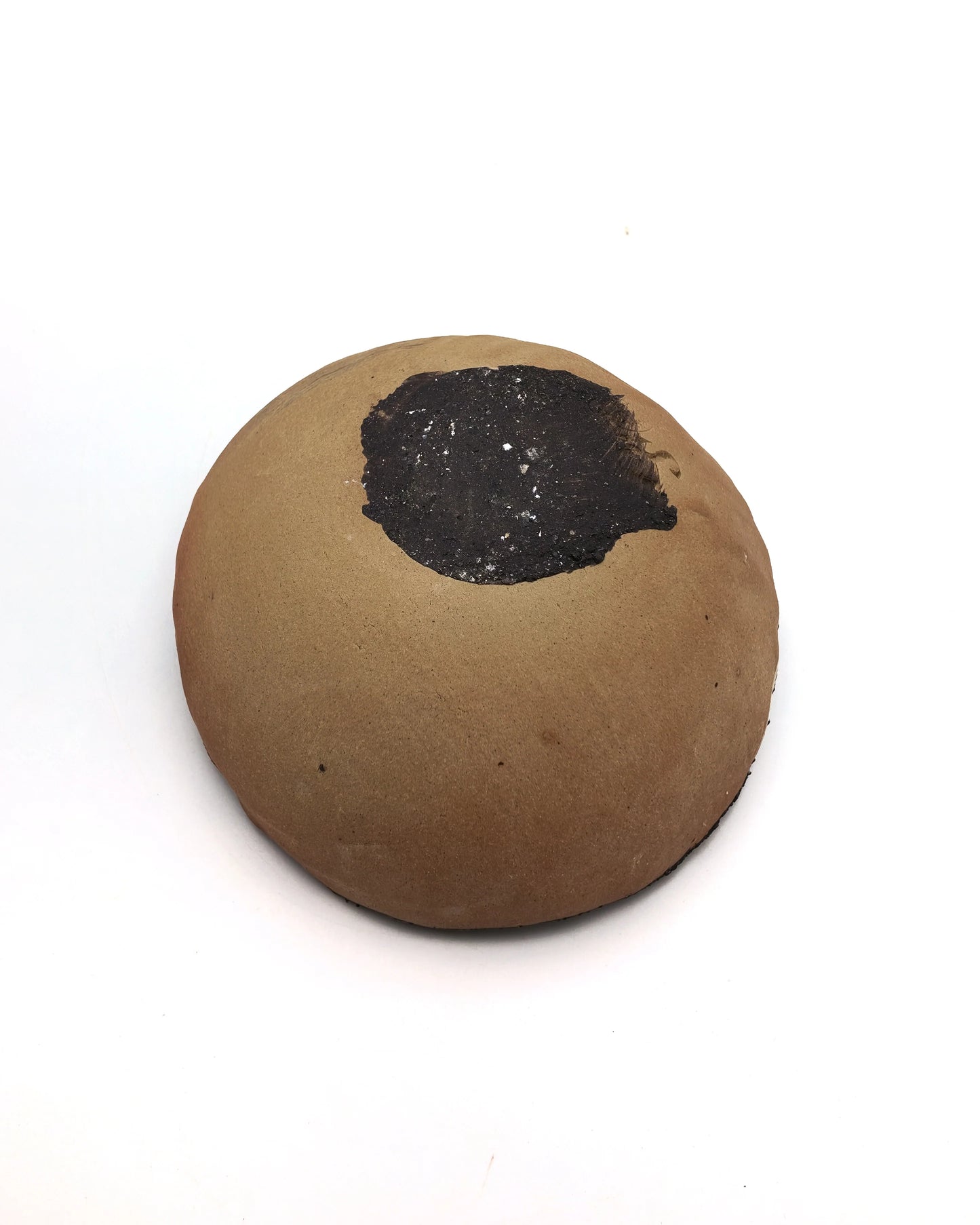 Lava shell bowl(R) [LS-2616]