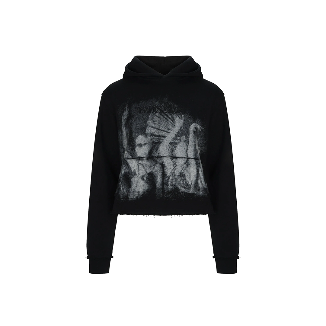 Tcd-rave crop hoodie