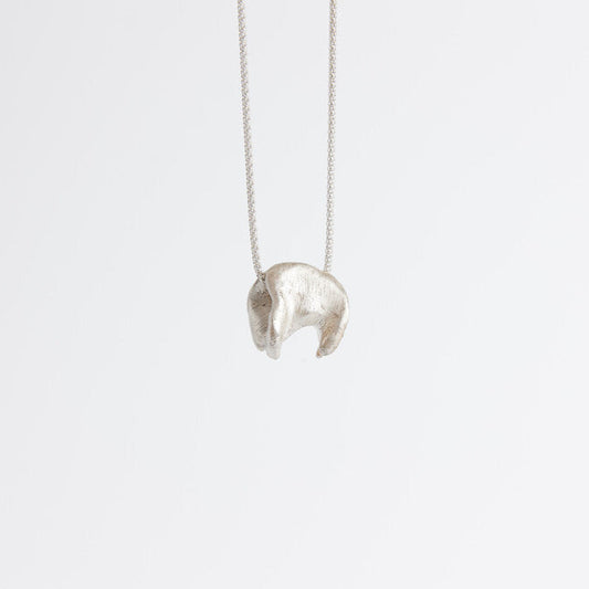 Kiwa 017