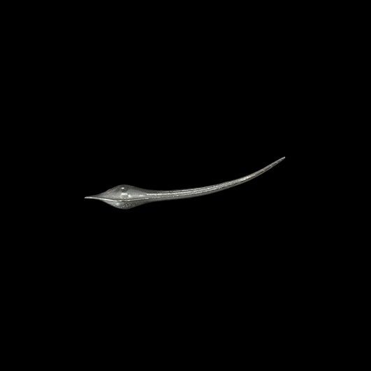 Wisp earring