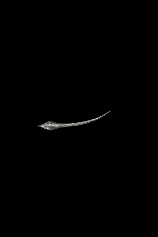 Wisp earring
